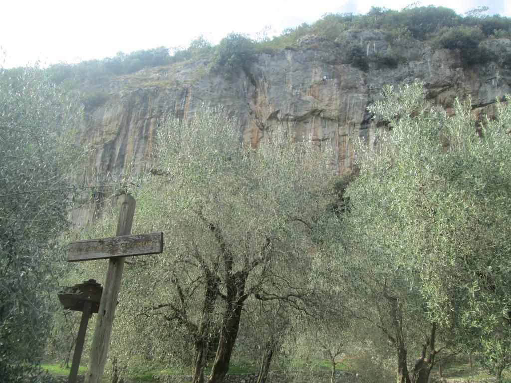 Massone Climbing Home Arco Exterior photo